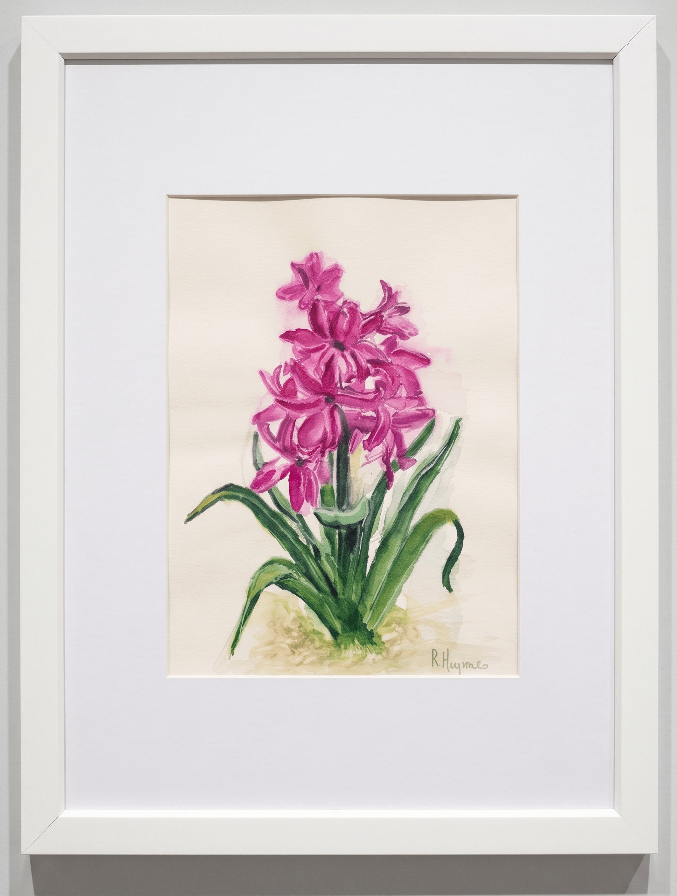 Blushing Hyacinth — Toronto, Canada — hand-painted watercolor by Rimma Guzenko